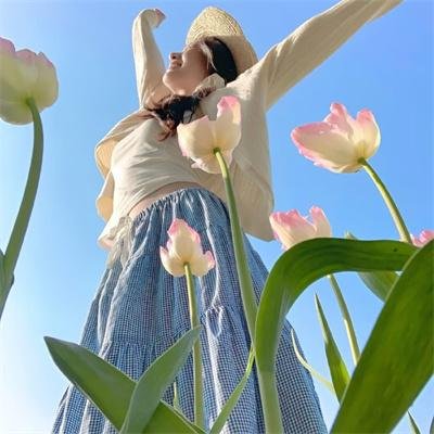 动物狂想曲第一季