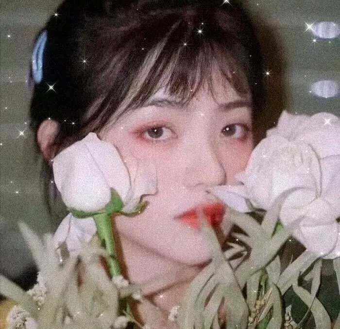 连环杀手夫人